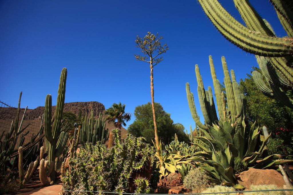 Bungalow Colorado With Garden #4 ซานบาร์โตโลเม ภายนอก รูปภาพ
